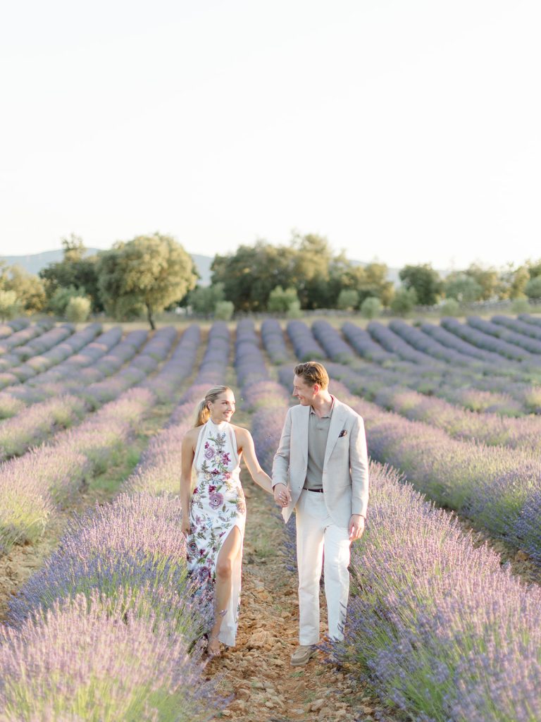 Champ lavende