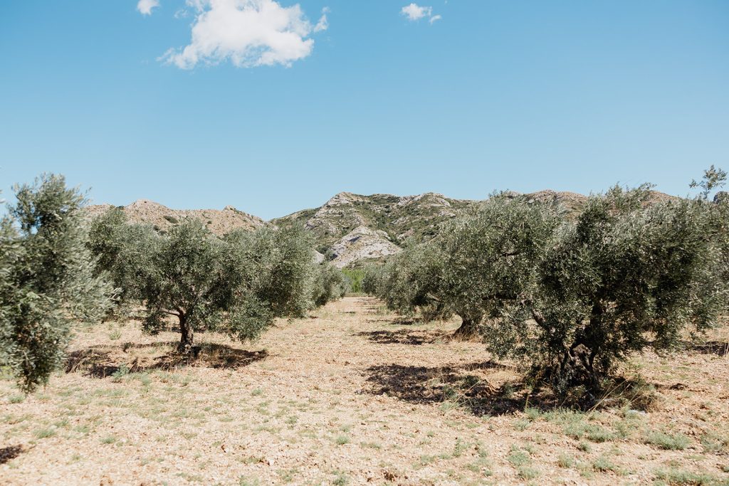 Massif des Alpilles